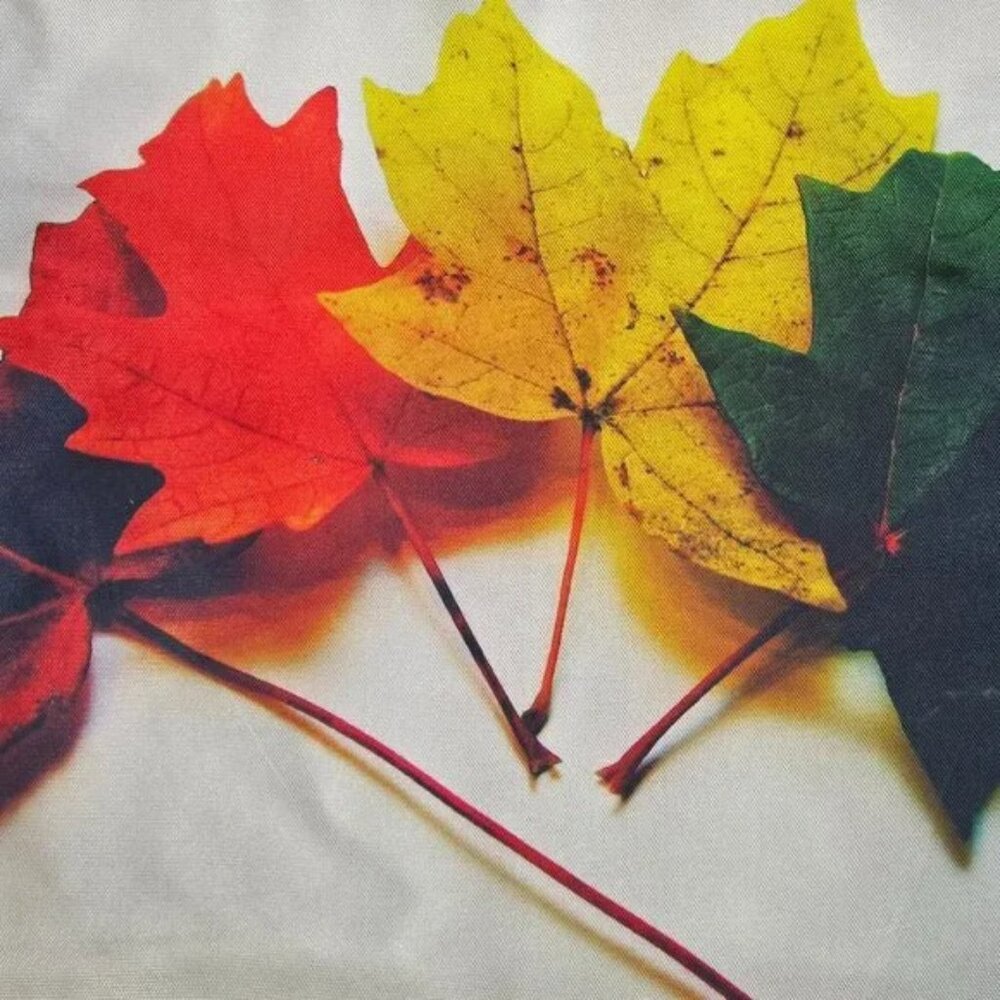 5 PCS Set of 3D Print Cushion Cover 16” x 16” Autumn Leaves
